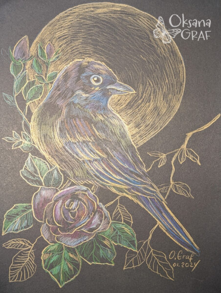 Vogel Zeichnung mit Buntstiften auf schwarze papier