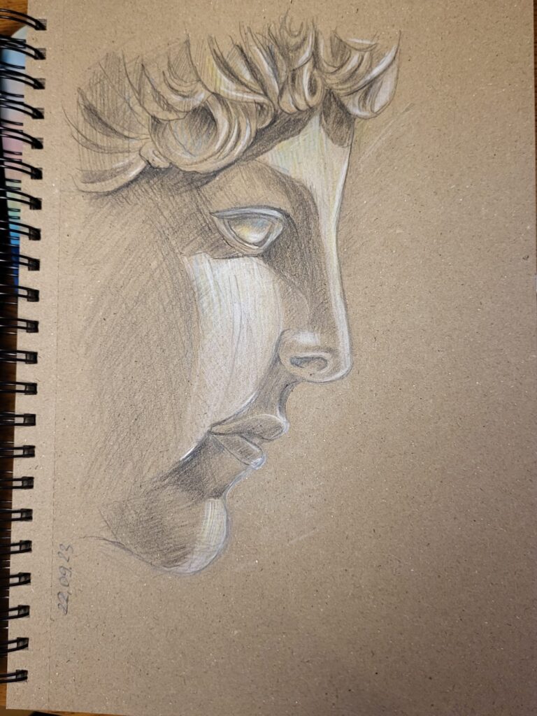 Zeichnung auf Kraftpapier mit Bleistift und Weiß: Schattierungen und Lichteffekte einer männlichen Skulpturenkopfes im Profil