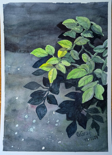 Grüne Blätterranken auf dunklem Hintergrund,  gemalt mit Masking Fluid , Aquarelle, Aquarellbilder, Aquarellmalerei, Malen mit Aquarellfarben von Oksana Graf