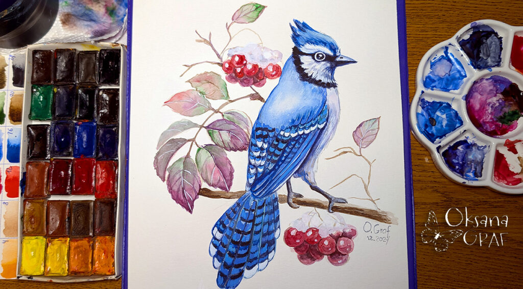 Aquarelle, Aquarellbilder, Aquarellmalerei, Malen mit Aquarellfarben von Oksana Graf blaue vogel, blue jay bird, blauhäher
