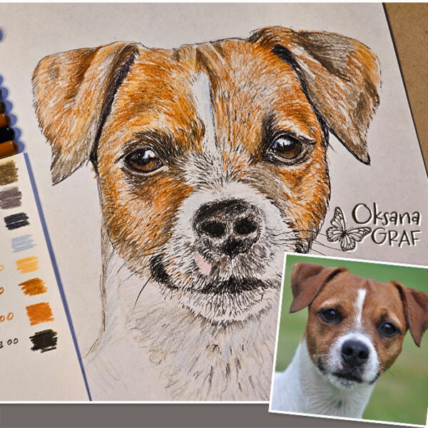 Hundeporträt als Buntstiftzeichnung nach Fotovorlage bestellen