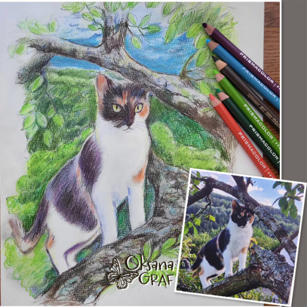 Buntstiftzeichnungen Katzenporträt nach Fotovorlage zeichnen lassen, Katze auf Ast mit Waldhintergrund