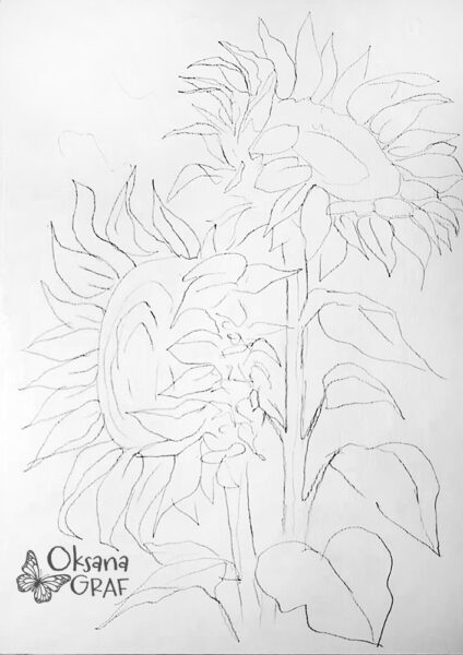 kostenlose ausmalbilder zum ausdrucken sonnenblumen