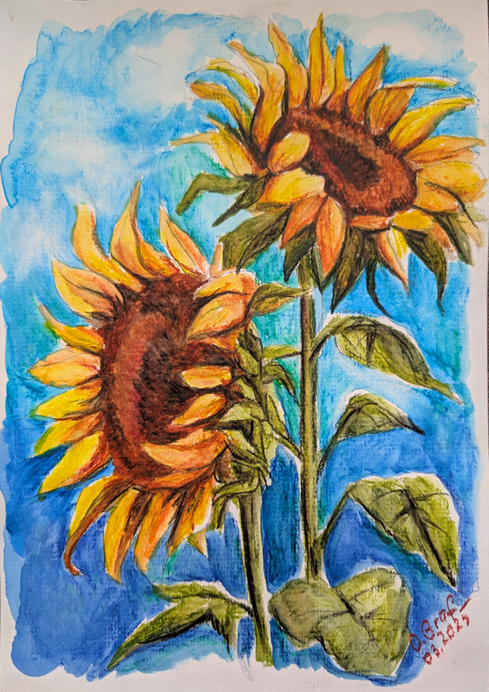 Sonnenblumen aquarellmalerei oksana graf оксана граф творческая студия рисунок акварелью подсолнухи. Aquarell Wachspastelle. Schritt für Schritt