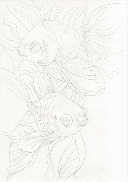 kostenlose ausmalbilder zum ausdrucken fische