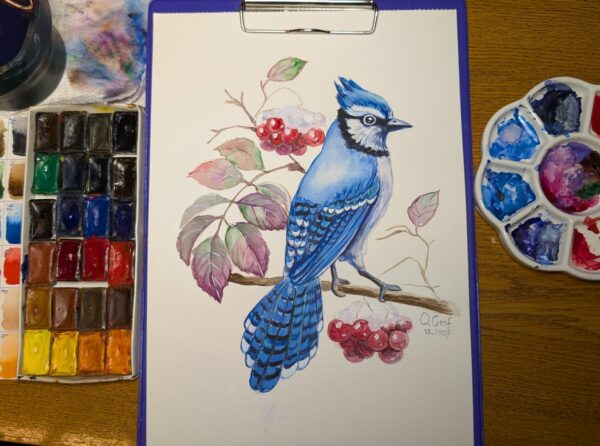 aquarellmalerei vogel Blauhäher aquarellfarbe White Nights