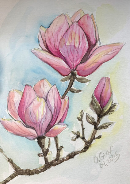 beautiful magnolia watercolor painting
