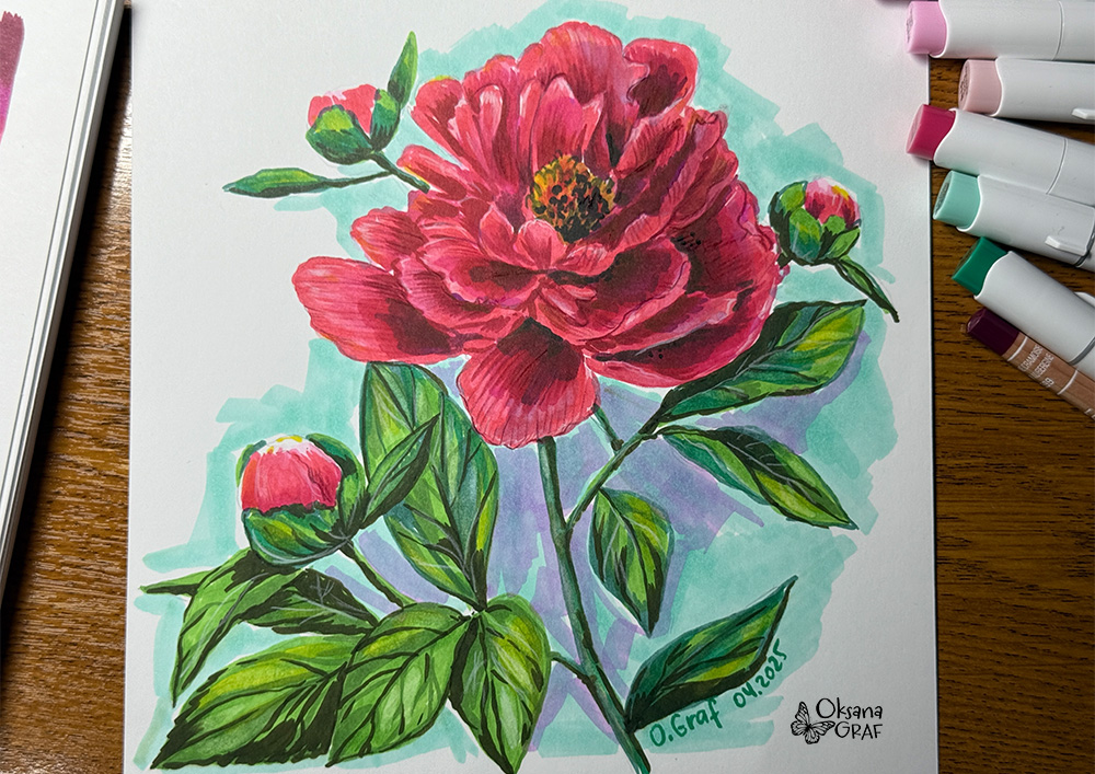Realistisch mit Alkoholmarkern gezeichnete Pfingstrose Peony drawing