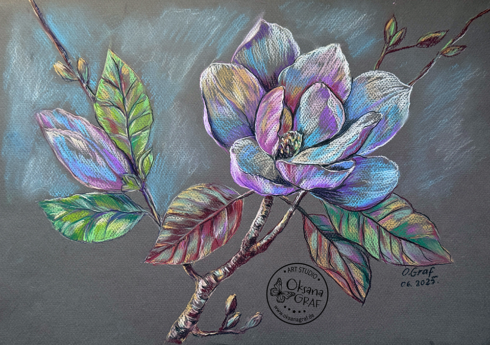 Magnolie  Zeichnung mit Pastellstiften von Oksana Graf