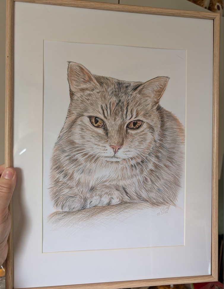 Handgezeichnetes Haustierportrait vom Foto Katze