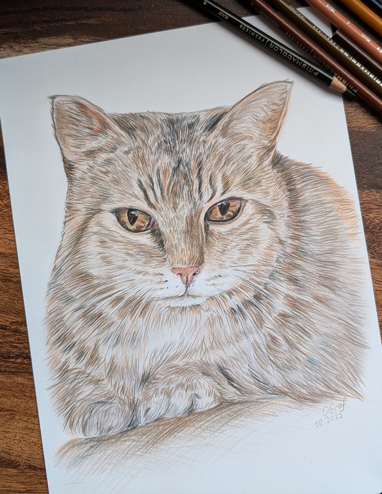 Handgezeichnetes Haustierportrait vom Foto Katze