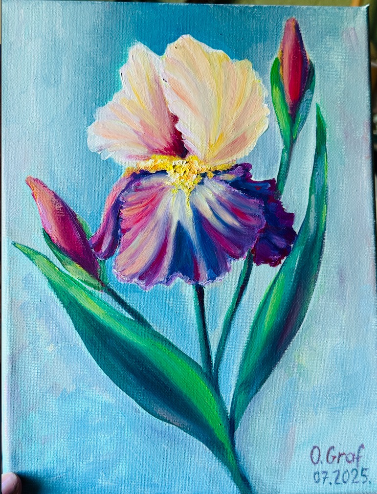Ölmalerei, Iris, Künstlerin Oksana Graf zum verkaufen