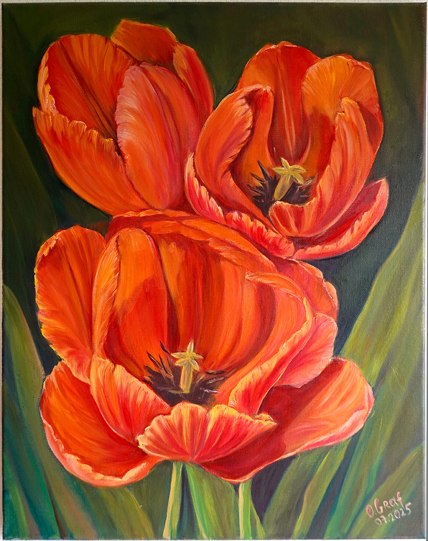 Ölmalerei auf Leinwand, 40x50 cm Rote Tulpen