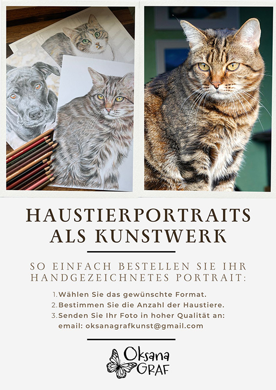 Handgezeichnetes Haustierportrait vom Foto